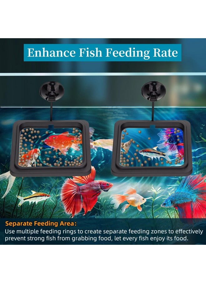DATOO DaToo Fish Feeding Ring Aquarium Square Floating Fish Food Feeder Circle with Strong Suction Cup Fish Tank Feeding Ring for Betta Goldfish Guppy Fish  - Image 4