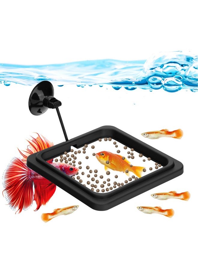 DATOO DaToo Fish Feeding Ring Aquarium Square Floating Fish Food Feeder Circle with Strong Suction Cup Fish Tank Feeding Ring for Betta Goldfish Guppy Fish  - Image 1