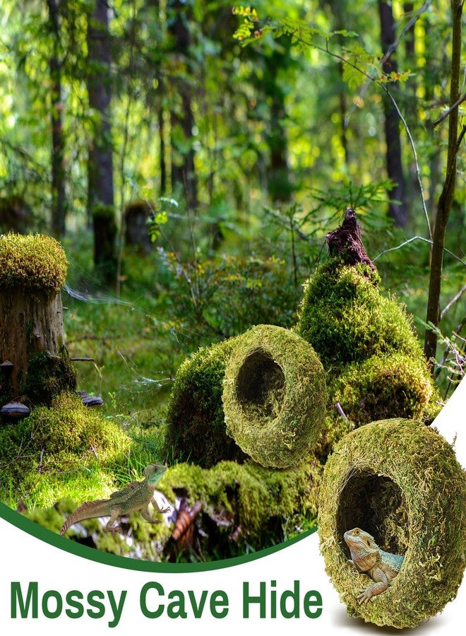 Tinideya 4 Pcs Mossy Cave Hide Artificial Green Reptile Mossy Hideout 4 Inch Humidity Crested Gecko Tank Decor for Pet Reptile Frogs Snakes Turtle Spider Lizard Chameleon, Terrarium Vivarium Decor - Image 4