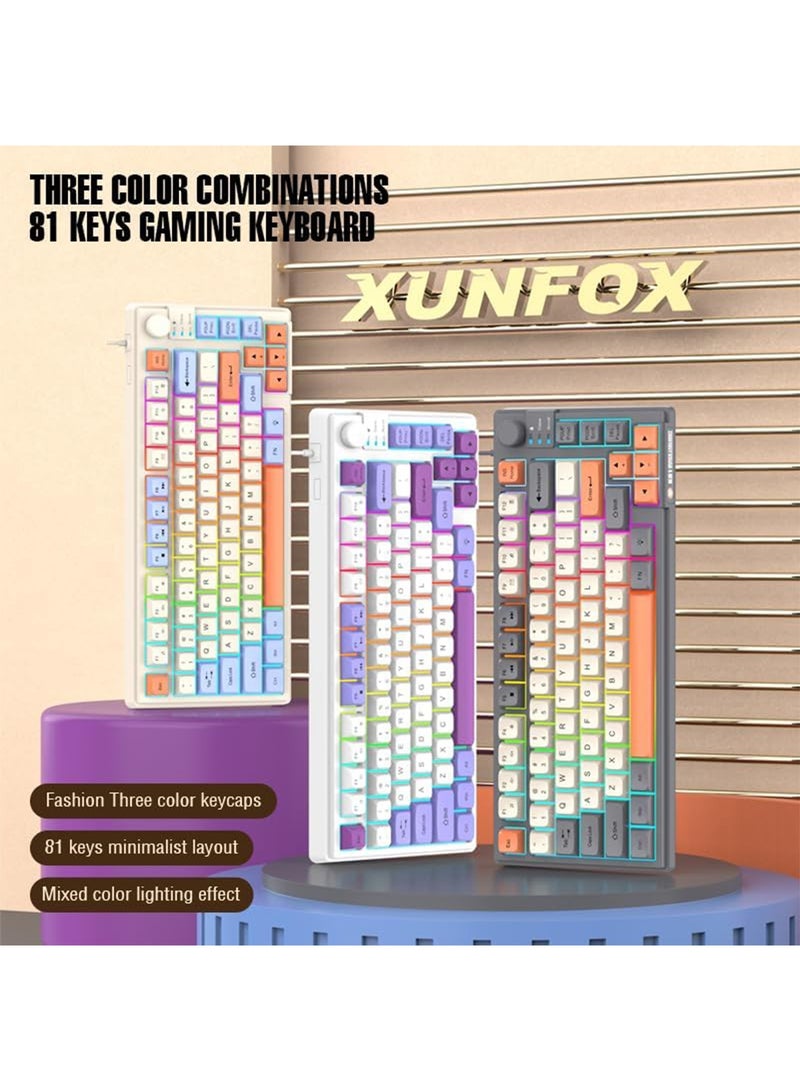 【Upgraded】 Arabic and English Wired Gaming Keyboard, 81-key Silent Keyboard with Adjustable RGB Rainbow Backlit and Independent Volume Adjustment Knob Keyboard for Office and Games (Gray) - Image 3