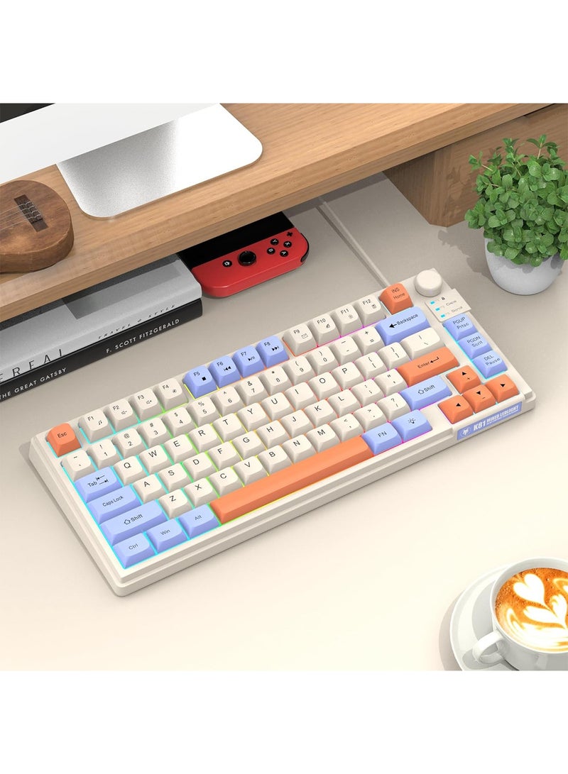 【Upgraded】 Arabic and English Wired Gaming Keyboard, 81-key Silent Keyboard with Adjustable RGB Rainbow Backlit and Independent Volume Adjustment Knob Keyboard for Office and Games (Gray) - Image 4