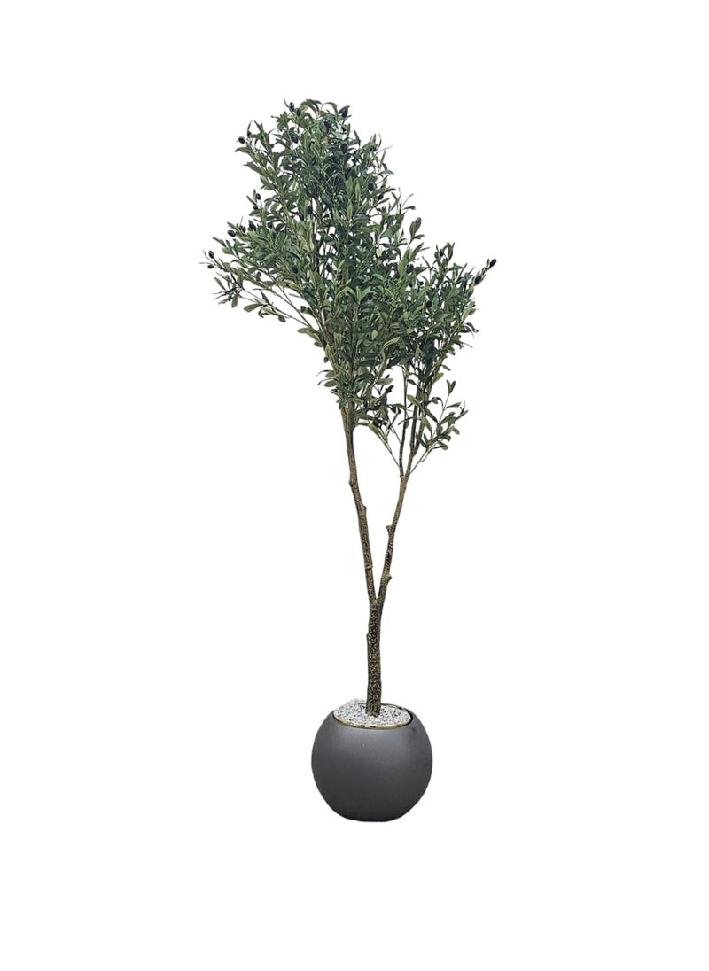 AL KHALDIYA - Fruitful olive tree with a large gray pot, with an attractive design, make your home more elegant, 215 cm - Image 1