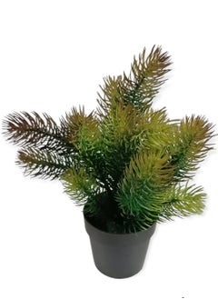 Home Ezz Artificial Potted Plant Multicolour  - Image 1