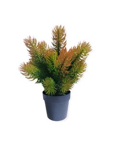 Home Ezz Artificial Potted Plant Multicolour  - Image 2