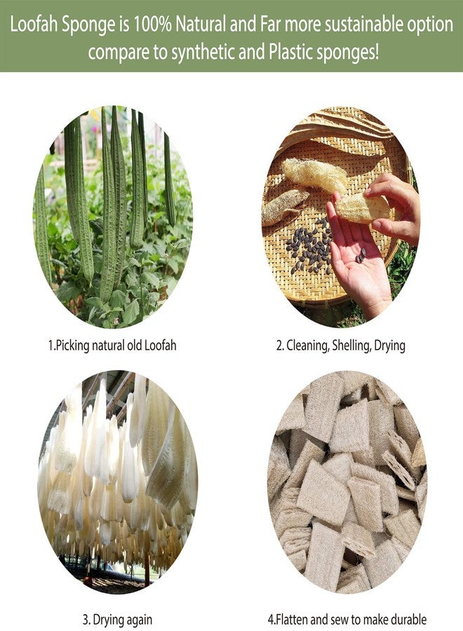 HELLO NATURE Plant-Based 6pcs Kitchen Brush Set by HELLO NATURE, Sustainable & Biodegradable Natural Fibre Bamboo Dish Brush,Bottle Brush,Pot Brush & 3 Natural Loofah Sponges, Zero-Waste,Plastic Free Kitchen Set - Image 4