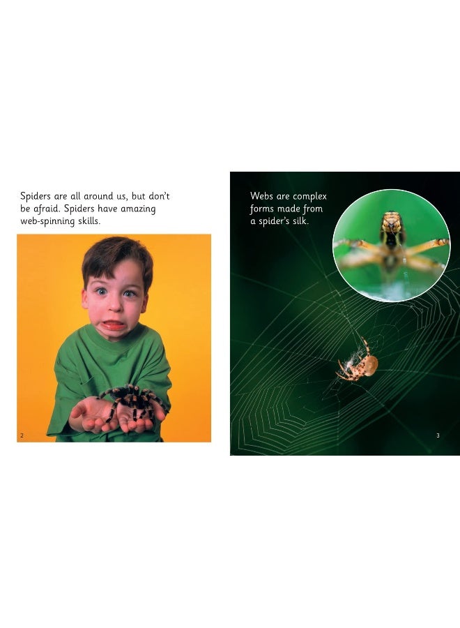 Amazing Webs: Phase 5 Set 2 - Image 3