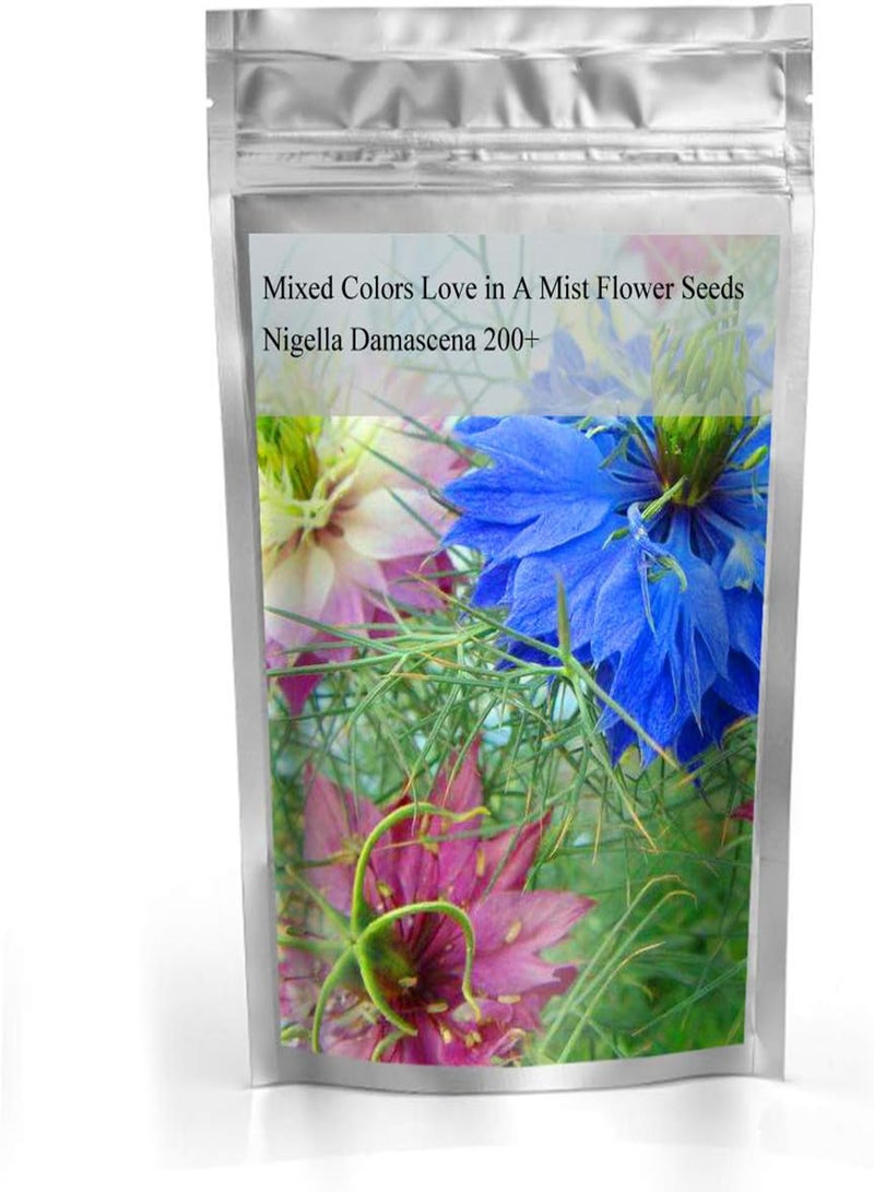 GGOOT Mixed Colors Love in A Mist Flower Seeds Nigella Damascena 200+ - Image 2