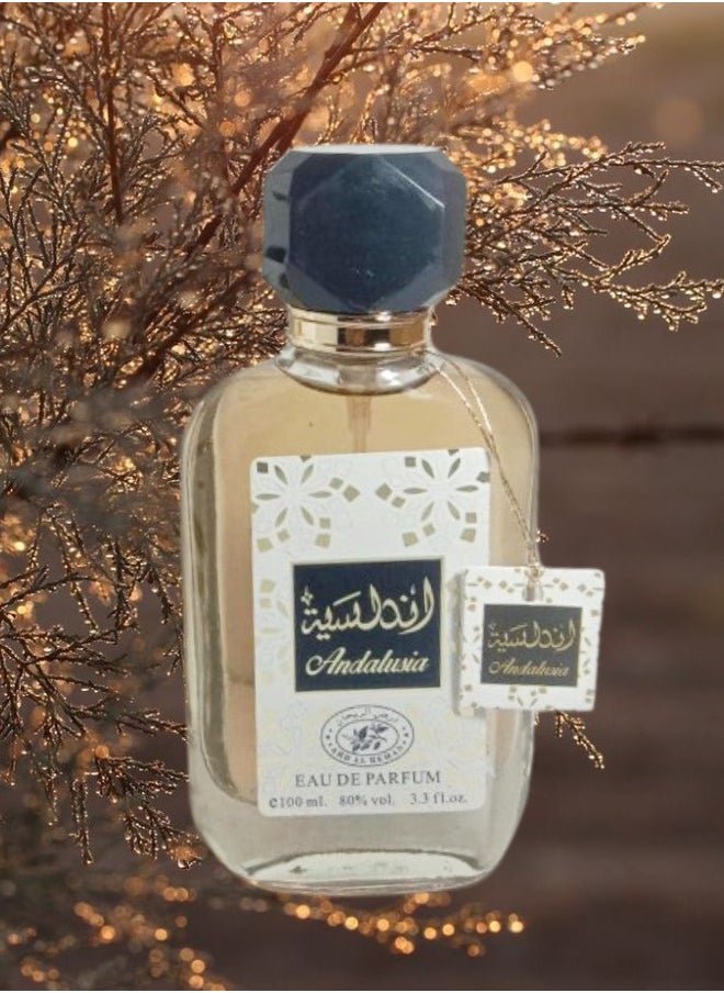 4 Pieces Andalusia Perfume 100ML - pzsku/Z15BFE7FE364F9420526AZ/45/_/1733542096/fa42901a-4540-447f-b6d4-b5e77f533aa0