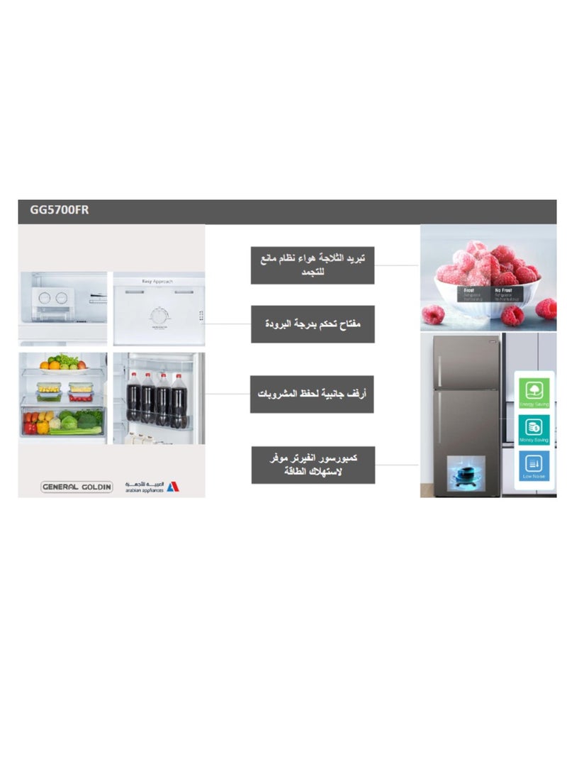 جنرال جولدن ثلاجة جنرال جولدن 379 لتر، 13.3 قدم مكعب، عاكس نو فروست، ضاغط موفر للطاقة بدون ضوضاء، فضي ممتاز - Image 5