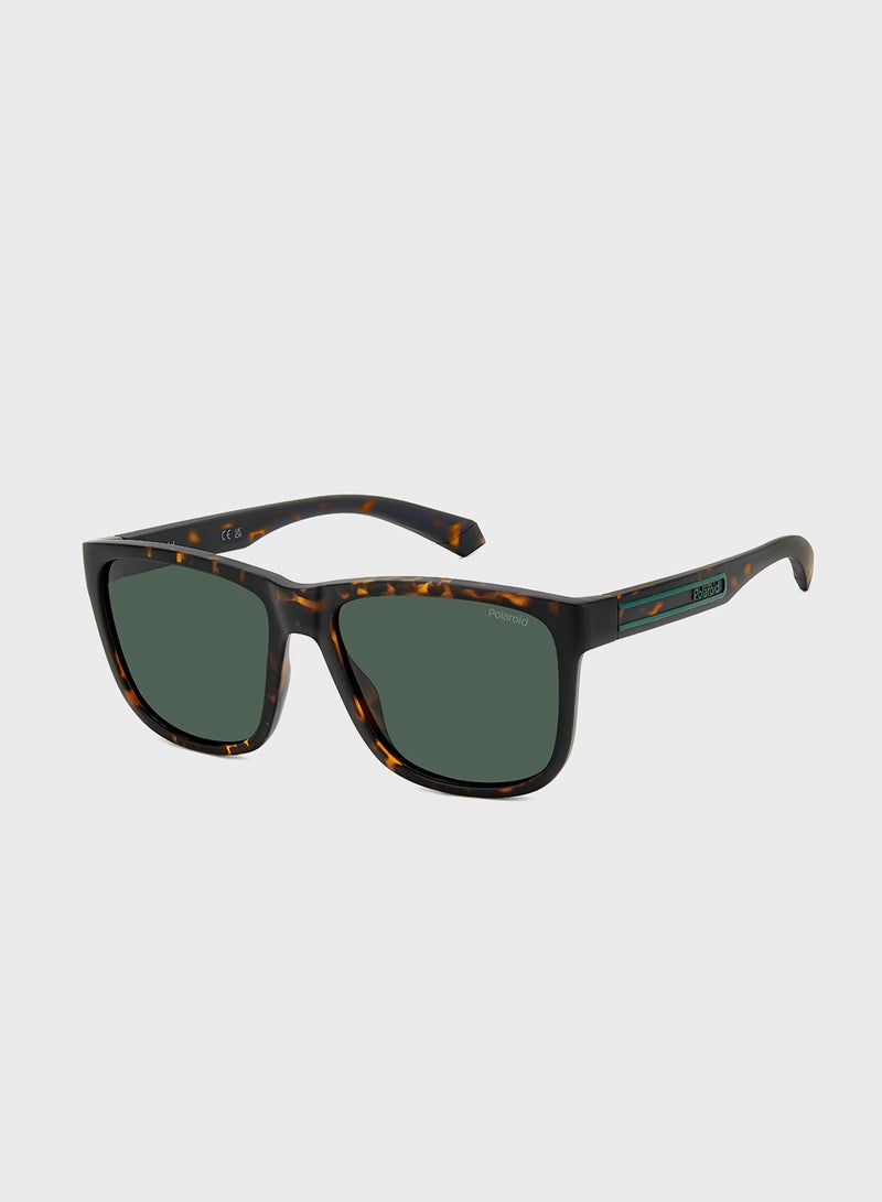 Polaroid Wayfarers Sunglasses - Image 1