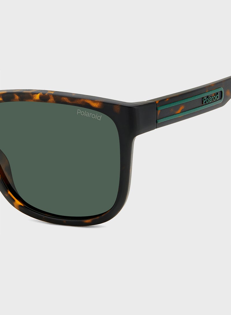 Polaroid Wayfarers Sunglasses - Image 5