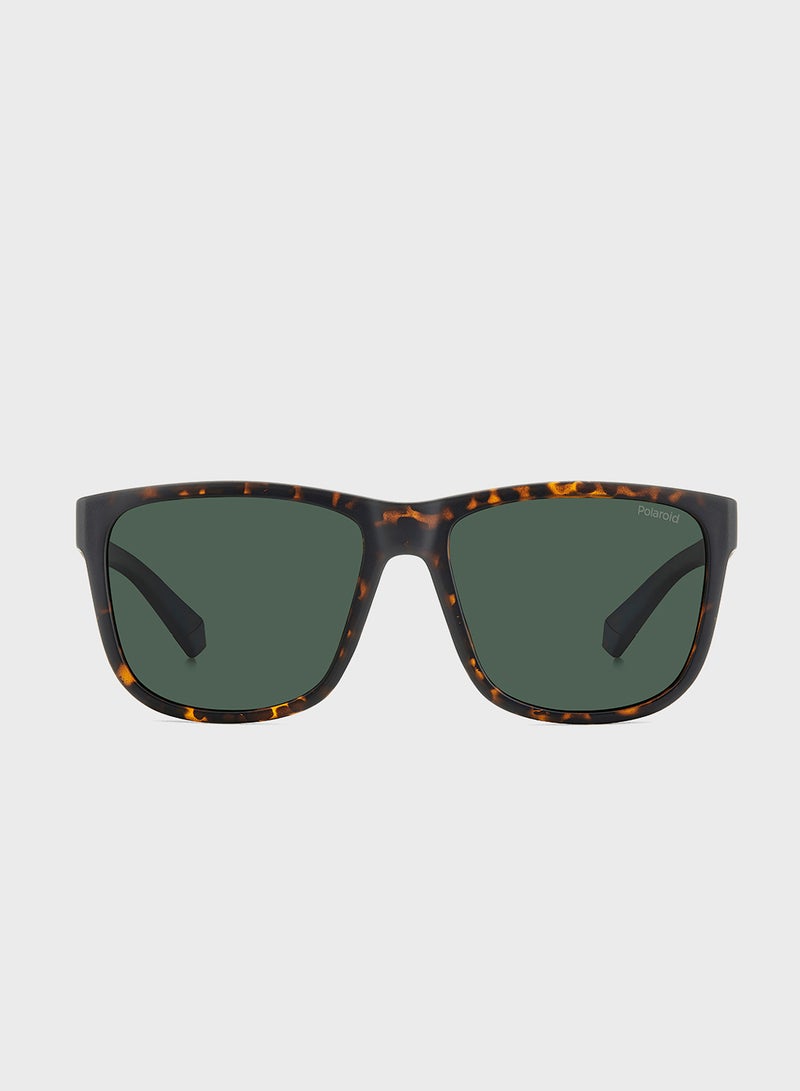 Polaroid Wayfarers Sunglasses - Image 3