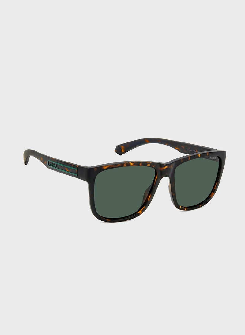 Polaroid Wayfarers Sunglasses - Image 2