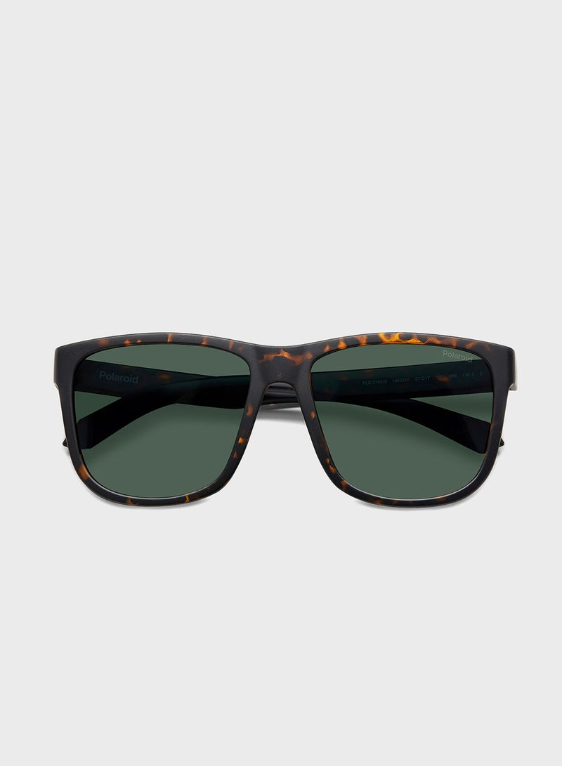 Polaroid Wayfarers Sunglasses - Image 4