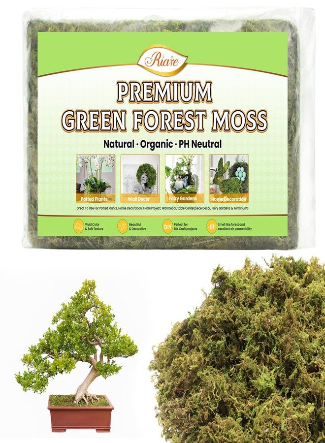 Riare 7OZ Artificial Fake Moss for Fake Plants Indoor- Premium Faux Craft Moss for Potted Plant, Fresh Forest Green for Hamsters Micro-Landscape Terrariums Centerpieces Decor - Image 1