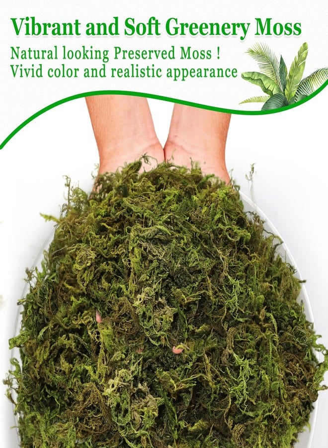 Riare 7OZ Artificial Fake Moss for Fake Plants Indoor- Premium Faux Craft Moss for Potted Plant, Fresh Forest Green for Hamsters Micro-Landscape Terrariums Centerpieces Decor - Image 4