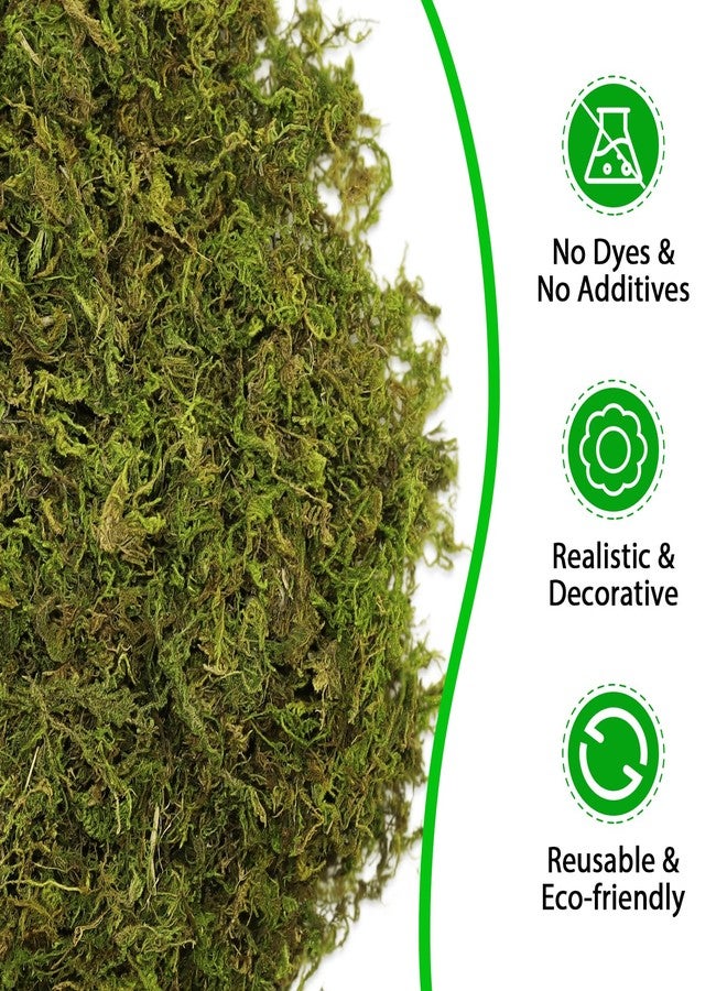 Riare 7OZ Artificial Fake Moss for Fake Plants Indoor- Premium Faux Craft Moss for Potted Plant, Fresh Forest Green for Hamsters Micro-Landscape Terrariums Centerpieces Decor - Image 3