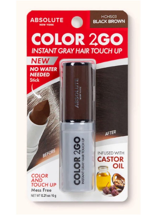 Absolute New York Absolute New York Color 2 Go Hair Stick Black Brown  - Image 2