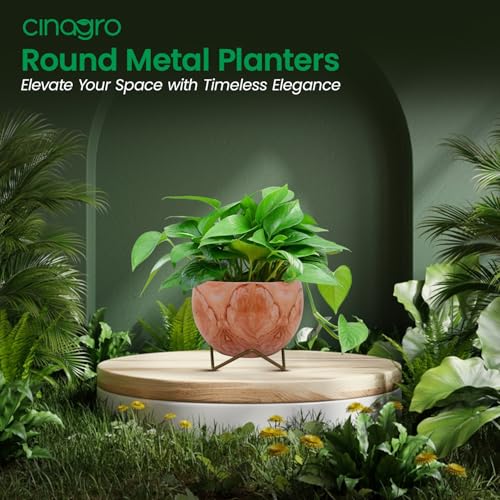 CINAGRO Metal Flower Vase Planter Pot, Pots for Plants, Plant Pots for Home Decoration, Succulent Pot, Indoor Planter Balcony Garden Decor (Size: 6X6 inch) Style: Peach Echo - Image 2