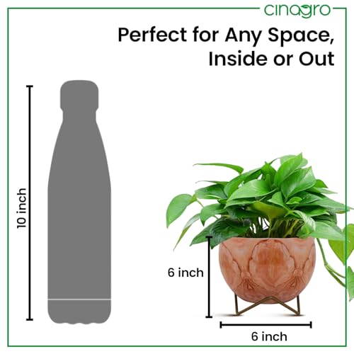 CINAGRO Metal Flower Vase Planter Pot, Pots for Plants, Plant Pots for Home Decoration, Succulent Pot, Indoor Planter Balcony Garden Decor (Size: 6X6 inch) Style: Peach Echo - Image 4
