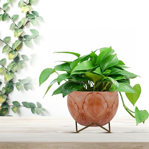 CINAGRO Metal Flower Vase Planter Pot, Pots for Plants, Plant Pots for Home Decoration, Succulent Pot, Indoor Planter Balcony Garden Decor (Size: 6X6 inch) Style: Peach Echo - Image 1