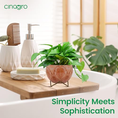 CINAGRO Metal Flower Vase Planter Pot, Pots for Plants, Plant Pots for Home Decoration, Succulent Pot, Indoor Planter Balcony Garden Decor (Size: 6X6 inch) Style: Peach Echo - Image 3