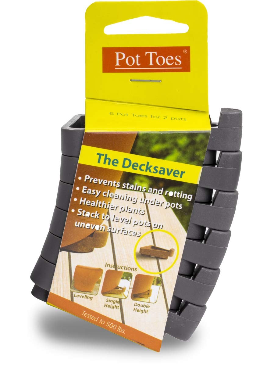 Bosmere Bosmere Pot Toes Dark Gray Pack of 6 