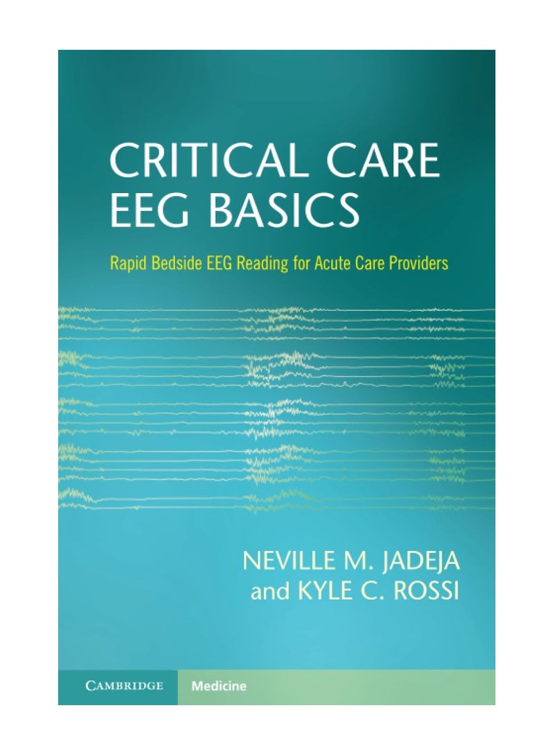 Critical Care EEG Basics Rapid Bedside EEG Reading For Acute Care Providers Paperback 