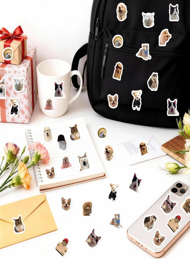 RupeeRise Cat Stickers, Katseye Stickers for Journal, Bonbon Drop Stickers, Two Rolls of Adhesive Decorative Labels with One Thousand Pieces for Crafting and Personal Use, Easy Peel and Stick Application - Image 4