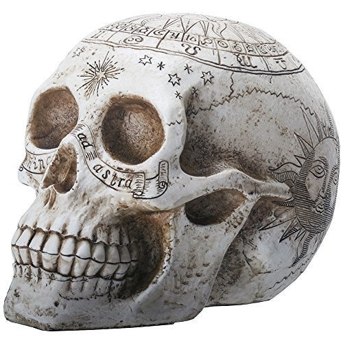 YTC 775 Inch Resin Skull with Astrology Engravings White Colored
