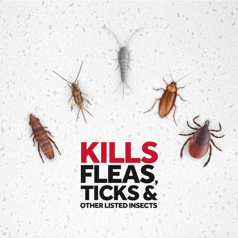 Raid Flea Killer, Kills Fleas, Crickets, Roaches, Silverfish and Ticks, Use in Your Home or on Your Dog (1 Pound (Pack of 6)) - Image 3