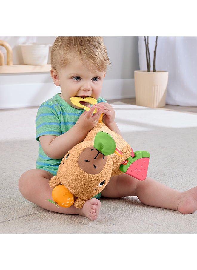 Fisher-Price Baby Sensory Toy Snuggly Snacky Capybara Plush With Newborn Teether & Rattle Activities For Infants Ages 3+ Months  - Image 2