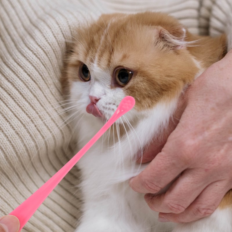8 pcs Portable Dog Toothbrushes Manual Pet Puppy Toothbrushes Pet Teeth Cleaners - Image 2