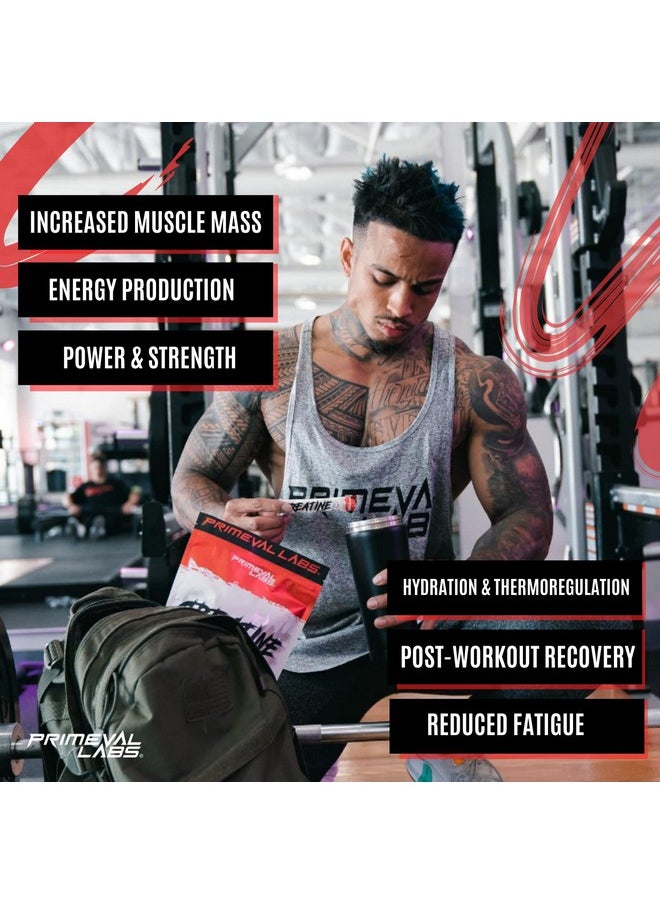 Primeval Labs - Creatine Monohydrate Powder ; On The Go Stick Packs ; Easy To Mix ; 5G Creatine Per Serving ; 30 Servings (Unflavored) - Image 1