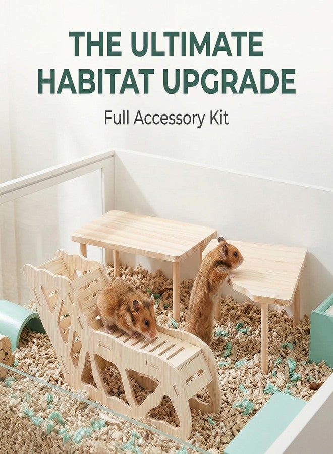 PASDUCHAS 3-Piece Wooden Hamster Platform Set, Versatile Hideout & Exploration Tunnel with Ladder, Cage Decor for Syrian Dwarf Hamsters, Gerbils, Mice - Image 2