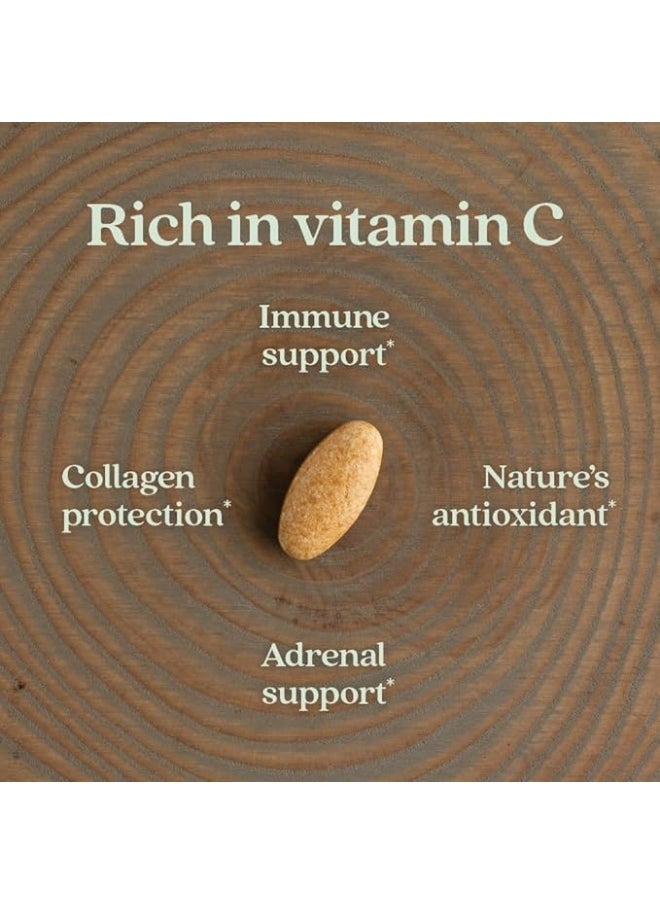 New Chapter Fermented Vitamin C Cap 60S  - Image 3