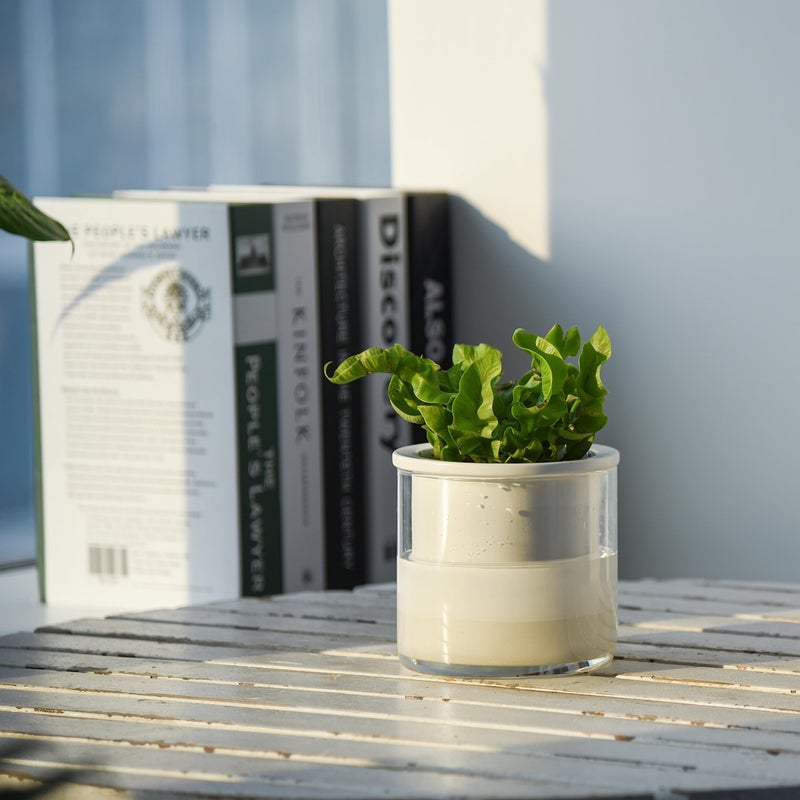 Phoenix Vine 4 Inch Self Watering Planter Pot, Design White Terracotta Pots for Plants, Indoor Cylinder Terra Cotta Pots with Glass Vase, Set of 4, 51-B-E-4 - Image 5
