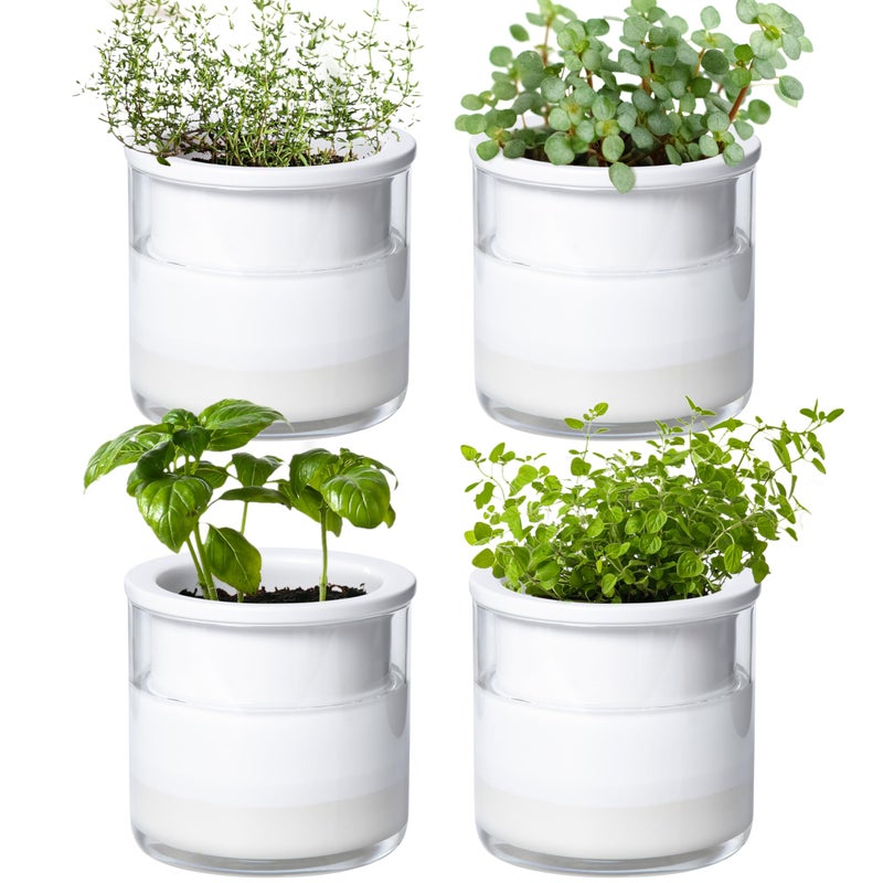 Phoenix Vine 4 Inch Self Watering Planter Pot, Design White Terracotta Pots for Plants, Indoor Cylinder Terra Cotta Pots with Glass Vase, Set of 4, 51-B-E-4 - Image 1