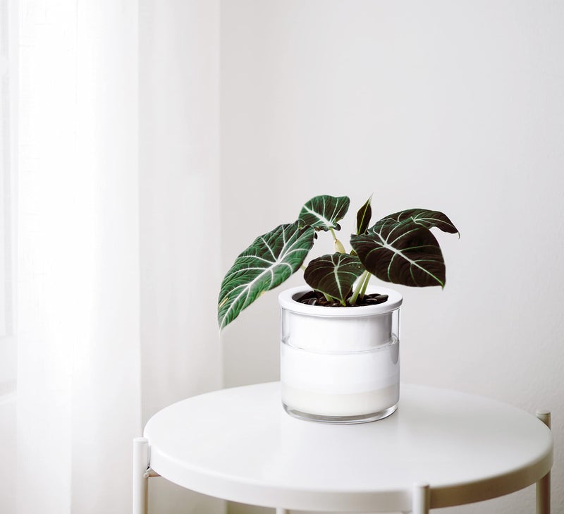 Phoenix Vine 4 Inch Self Watering Planter Pot, Design White Terracotta Pots for Plants, Indoor Cylinder Terra Cotta Pots with Glass Vase, Set of 4, 51-B-E-4 - Image 2