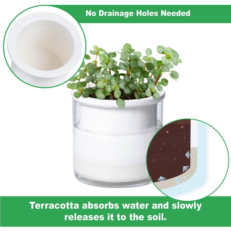 Phoenix Vine 4 Inch Self Watering Planter Pot, Design White Terracotta Pots for Plants, Indoor Cylinder Terra Cotta Pots with Glass Vase, Set of 4, 51-B-E-4 - Image 3