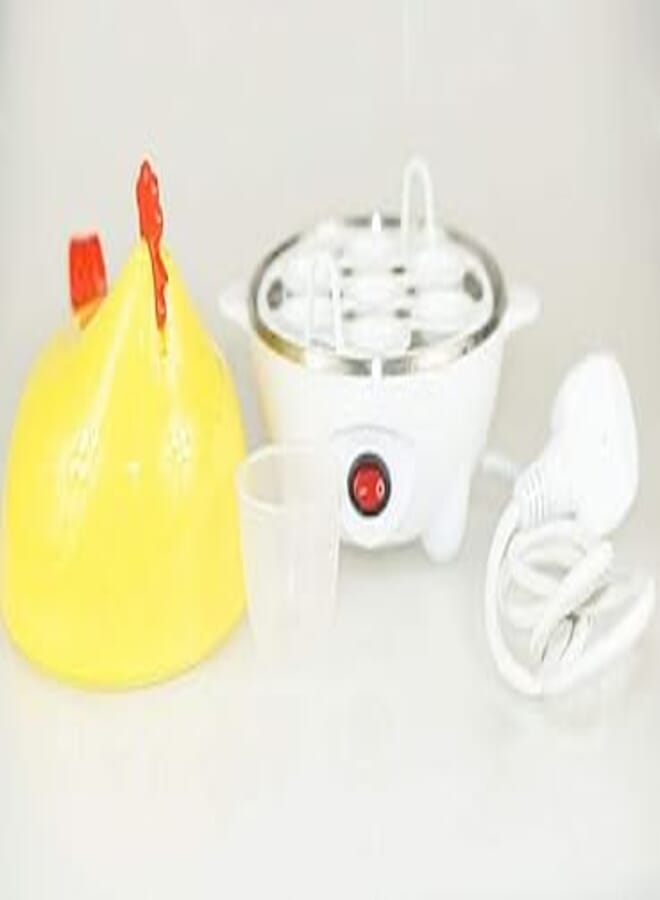 OR Device to boil eggs - j00e004