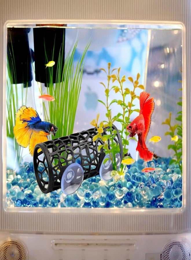 فوكتي نفق لأسماك البيتا، أنبوب نوم مجوف بتصميم مجوف للأسماك الصغيرة والروبيان، أرجوحة زينة لأسماك البيتا، ألعاب لأسماك البيتا والجوبي أثناء الراحة، زينة لأحواض السمك - Image 3