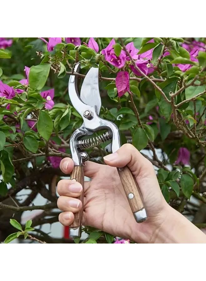 1 قطعة مقص تقليم من الفولاذ المقاوم للصدأ 8 بوصة بمقبض خشبي لجني فواكه الحديقة - Image 2