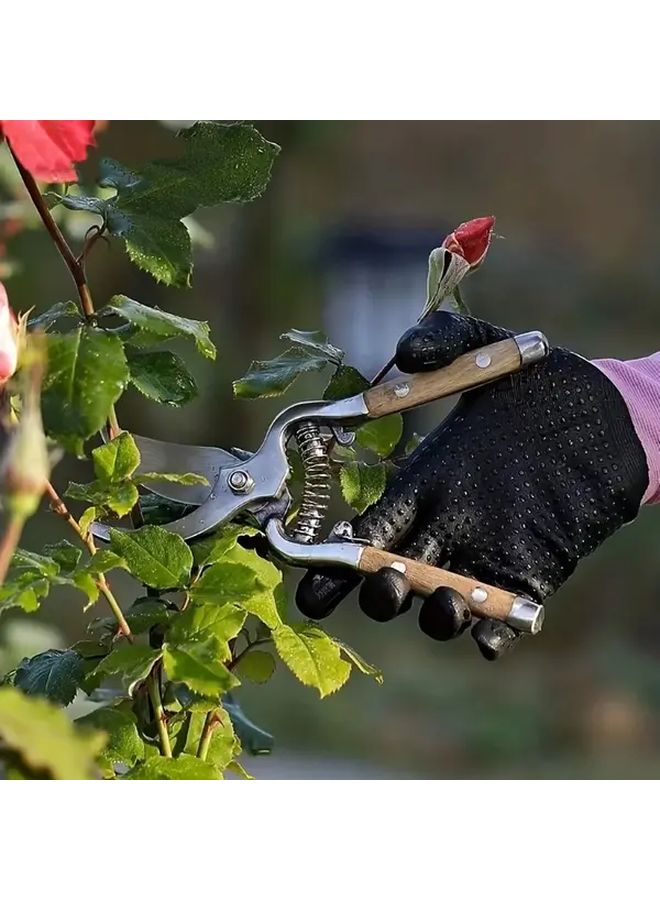 1 قطعة مقص تقليم من الفولاذ المقاوم للصدأ 8 بوصة بمقبض خشبي لجني فواكه الحديقة - Image 4