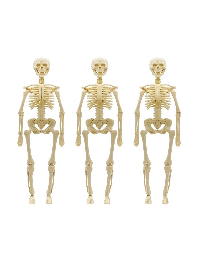 Feelings Skeleton Props 20.5X15Cm - Image 1