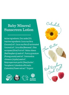 Earth Mama Baby Mineral Sunscreen Lotion SPF 40 | Reef Safe, Non-Nano Zinc, Natural Water Resistant Sun Cream for Babies, Kids & Adults, 3-Ounce - pzsku/Z15D57ABE625FE936F38DZ/45/_/1737030375/8774c2e0-434a-45ad-ab03-6f1183b5f9a8