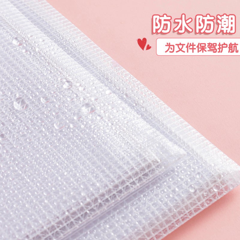 Morandi Color Grid Document Bag Thickened Waterproof Transparent Zipper Information Bag Student Textbook Classification Storage Bag - Image 5