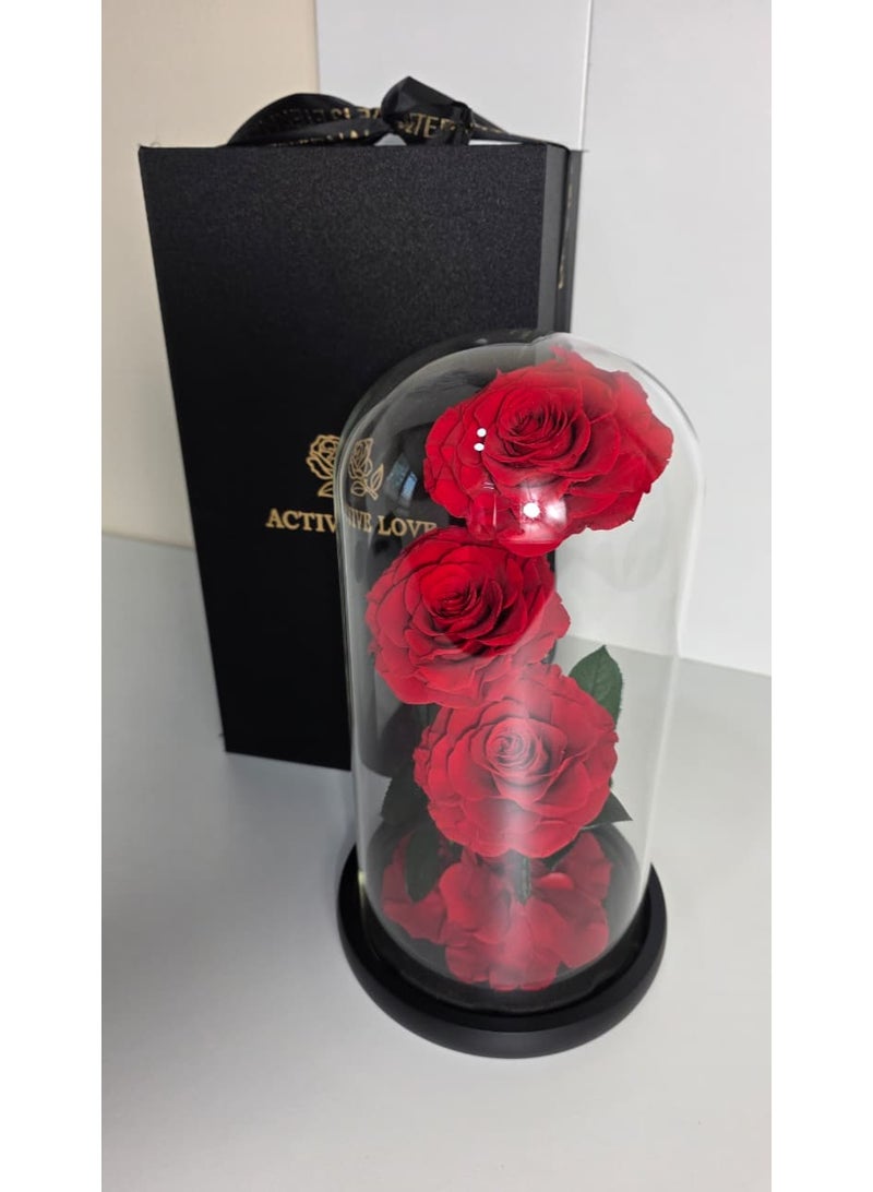 فلاور باقة وردة حمراء محفوظة في قبة زجاجية فاخرة - حجم كبير - Image 4