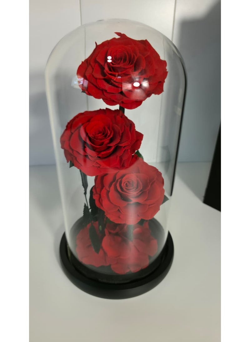 فلاور باقة وردة حمراء محفوظة في قبة زجاجية فاخرة - حجم كبير - Image 3