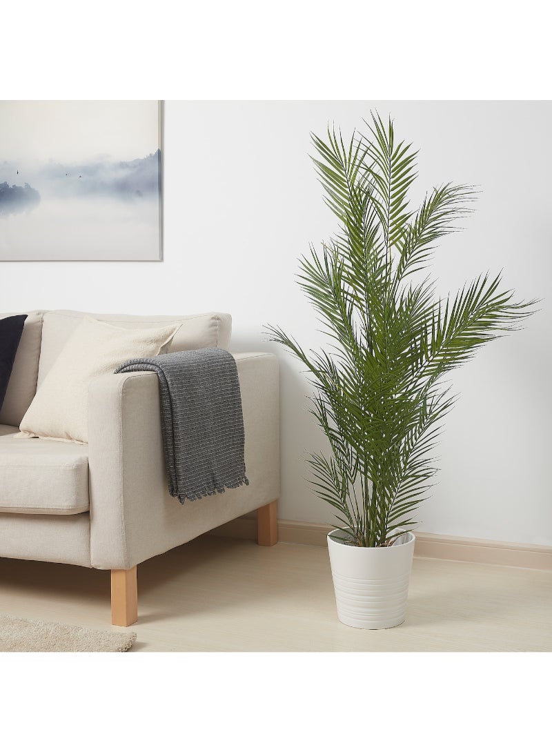 IKEA FRAKTA Artificial potted plant - 15 cm - Image 2